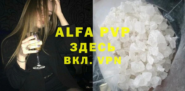 гидра Богданович