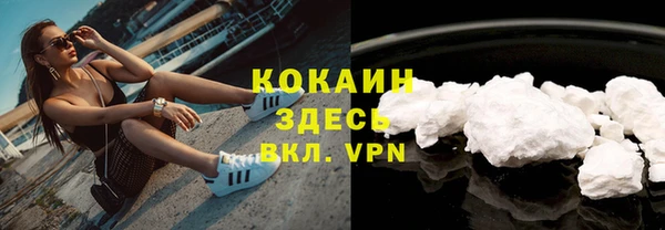 Альфа ПВП Белокуриха