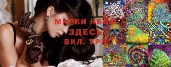 Альфа ПВП Белокуриха