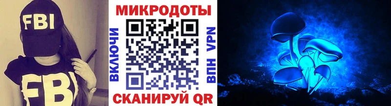 Псилоцибиновые грибы Psilocybine cubensis  Купить  Саки 
